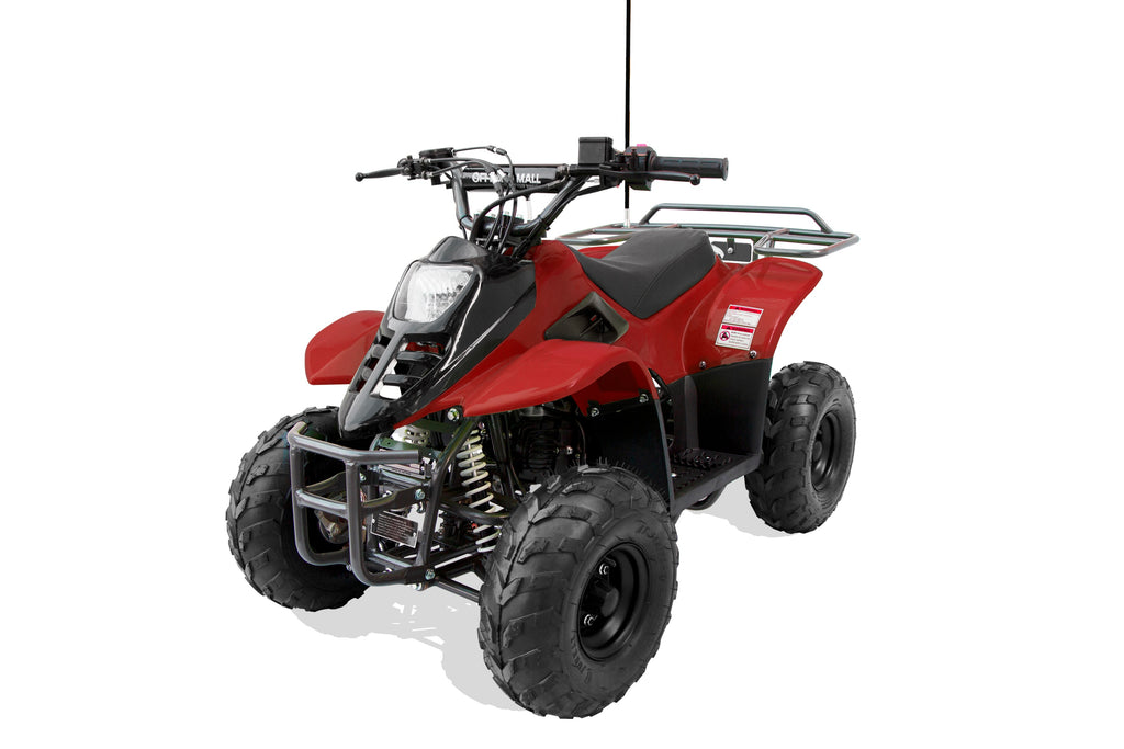 Trailmaster T110 ATV 6''  Kids or Youth sports Hunters style, Automatic Trans, Electric Start - Lee Motorsports