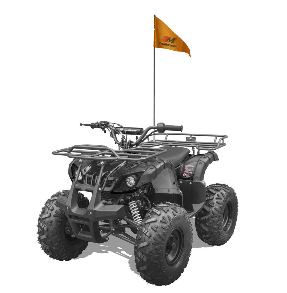 Trailmaster T125U Rancher style, ATV 125cc  8" rims 19 inch Tires . Automatic with reverse - Lee Motorsports