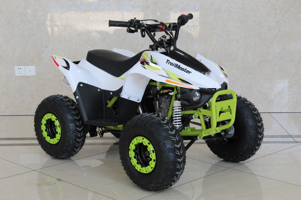 Trailmaster ATV N110 Kids ATV, 107cc Automatic trans with REVERSE, electric start - Lee Motorsports