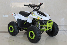 Load image into Gallery viewer, Trailmaster ATV N110 Kids ATV, 107cc Automatic trans with REVERSE, electric start - Lee Motorsports