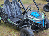 Trailmaster Cheetah 300E Off Road Buggy / Go kart 18 HP Fuel Injected, Upgraded rear suspension