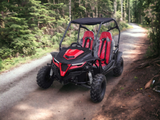 Trailmaster Cheetah 200 Go kart  ,Upgraded rear end, high back seats, Full Welded Roll Cage