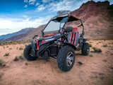 Trailmaster Cheetah 300EX Off Road UTV/Go kart | Fuel Injected Deluxe Adult Version, Center pivot rear end, water cooled motor