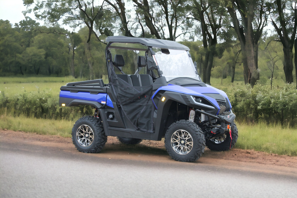 Discover the Trailmaster Panther 550 UTV's power.