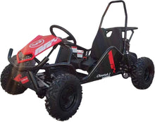Load image into Gallery viewer, Trailmaster Cheetah 3, 80cc, Youth Single Seat Go Kart,  Pull Start , Automatic, Roll bar, Seat Belt. - Lee Motorsports