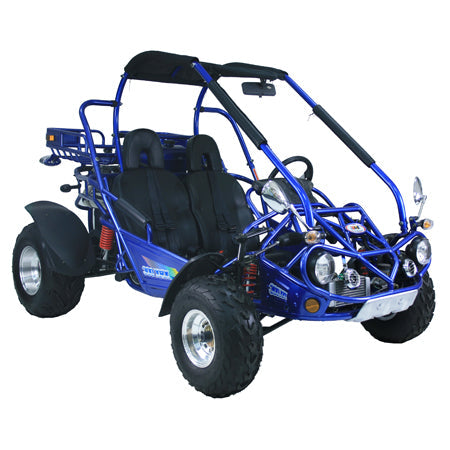 TRAILMASTER 300XRX-E (EFI) Buggy / Go Kart  Water Cooled, Fuel Injected, Independent rear axles, Double A Arm Coil - Lee Motorsports