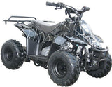 MINI Coolster 110CC ATV