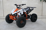 Trailmaster K125, 8