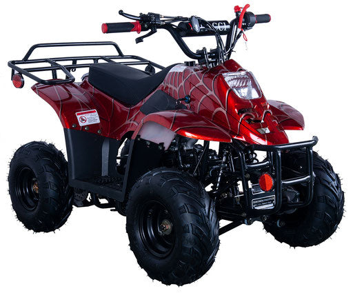 Coolster ATV Series Ranger Youth 110, 107cc, Automatic Trans, parental controls. Great Gift for Kids - Lee Motorsports