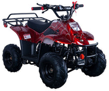 Load image into Gallery viewer, Coolster ATV Series Ranger Youth 110, 107cc, Automatic Trans, parental controls. Great Gift for Kids - Lee Motorsports