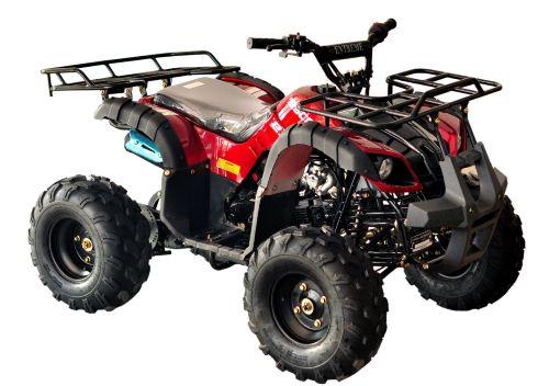 Coolster 3125R, 107cc,  Youth Quad Mid-Size Deluxe Sport. With Reverse and Electric Start - Lee Motorsports