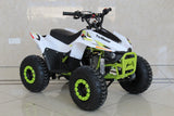 Trailmaster ATV N110 Kids ATV, 107cc Automatic trans with REVERSE, electric start