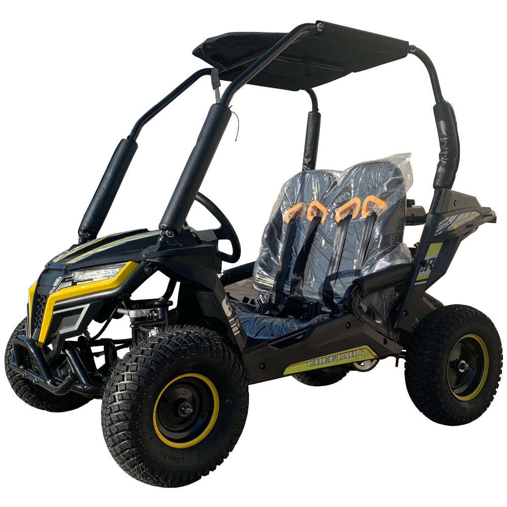 Trailmaster Cheetah 6 163cc  Youth off road go kart with reverse. Speed limiter , remote Kill - Lee Motorsports