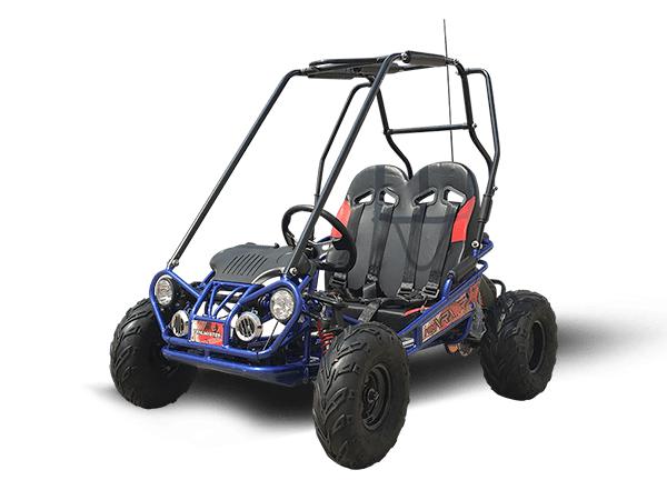 Trailmaster  Mini XRX/R+ Go Kart with Reverse Best Seller. Up to 10 years Old, Pedals and seats adjust - Lee Motorsports